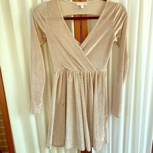 Gorgeous champagne winter dress